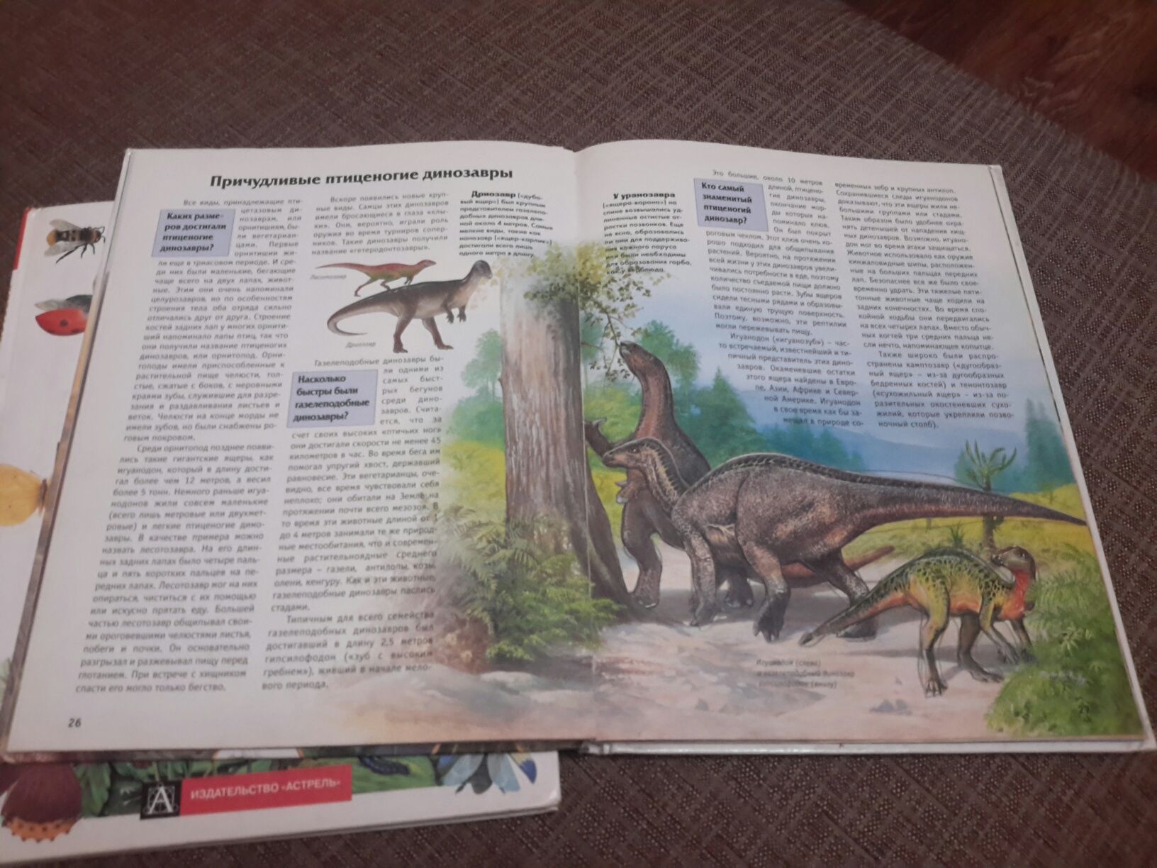 Книги Динозавры и Жизнь растений