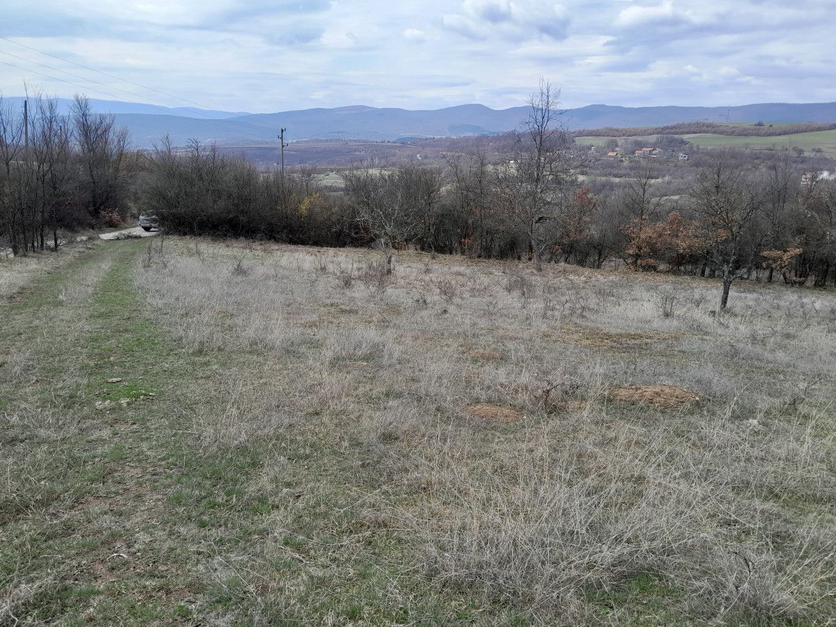 ПИ - 1200 м2 в с. Косача