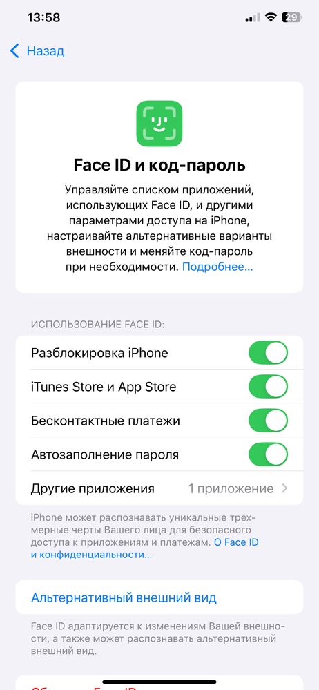 IPhone xs Max ideal 256 GB
