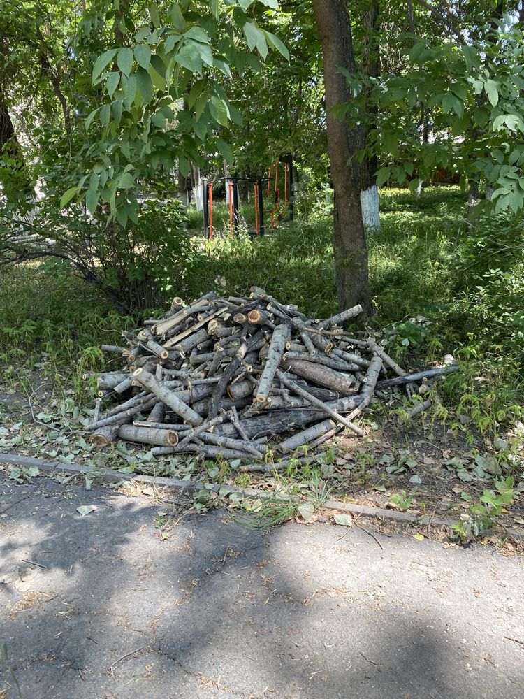 Срочно Бесплатно дрова примерно 1 газель