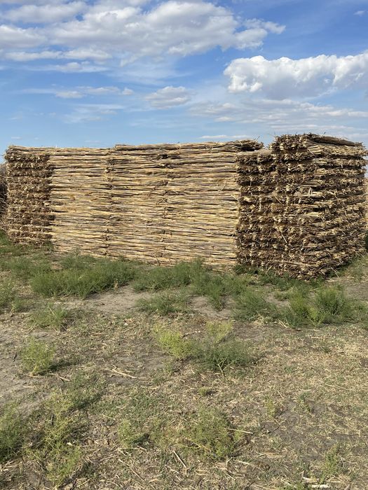 Камыш маты Атырау