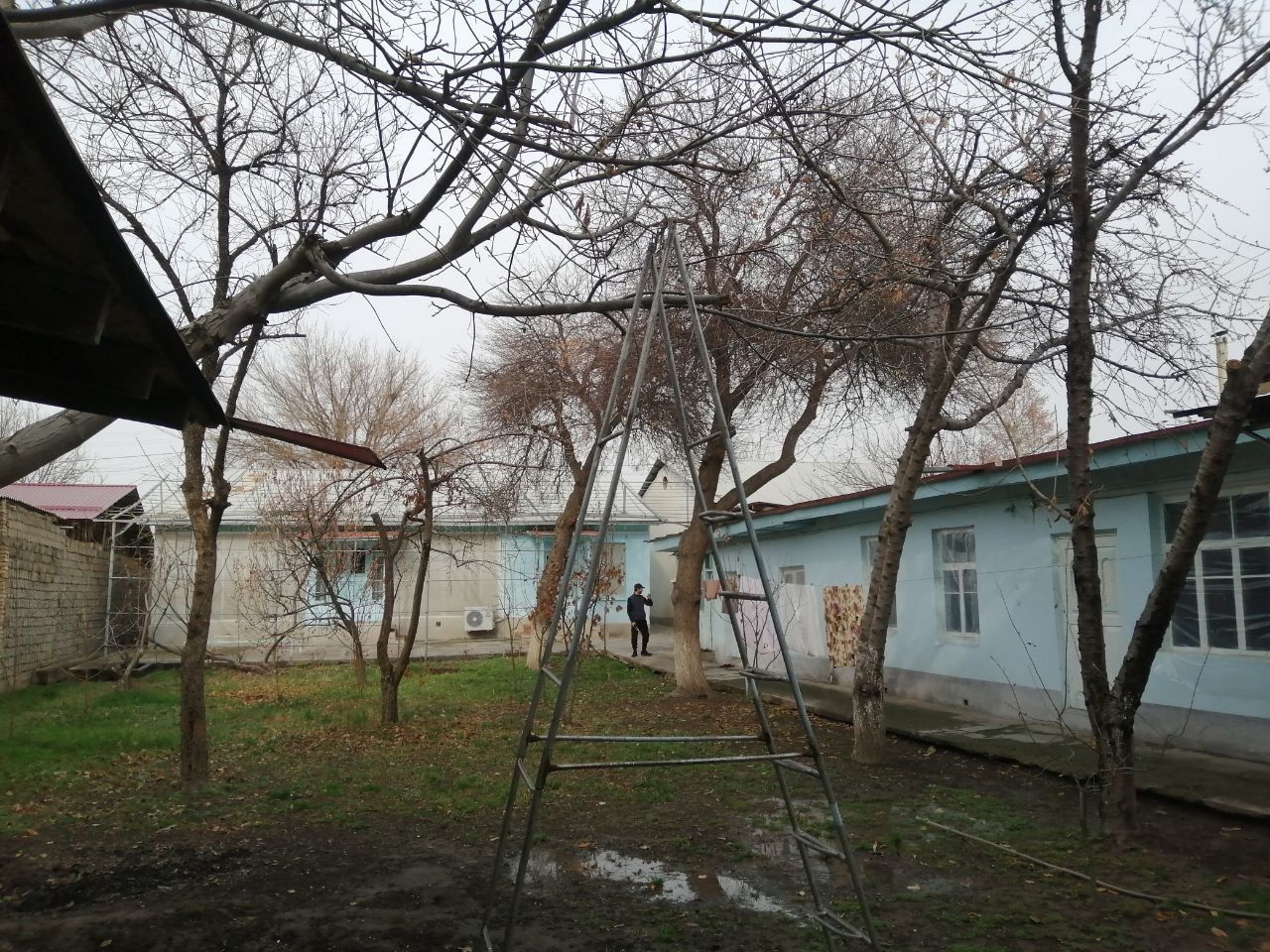 8 sotix yer sotiladi. Markaziy yo'l bo'yida. Biznes qilishga quley joy