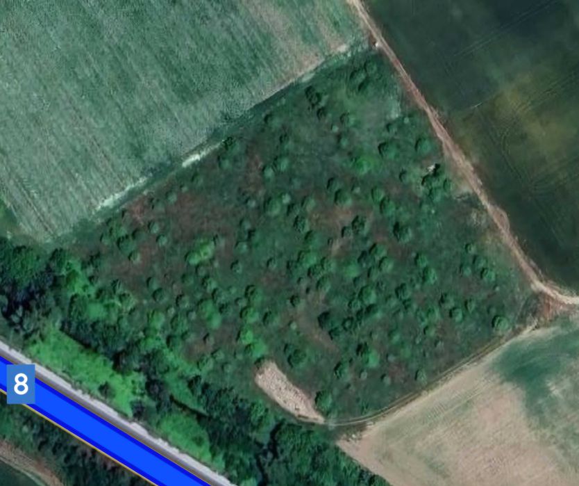 П. Р. О. Д. А. В. А