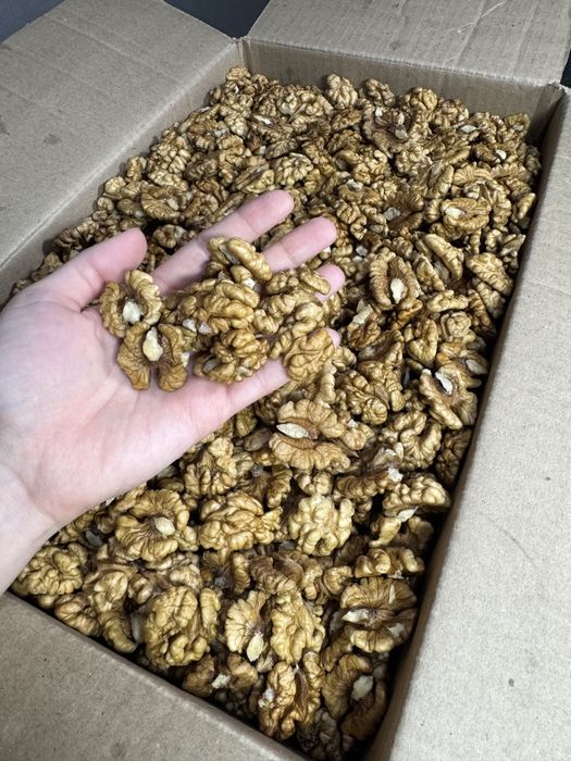 Грецкие орехи yong'oq yongoq