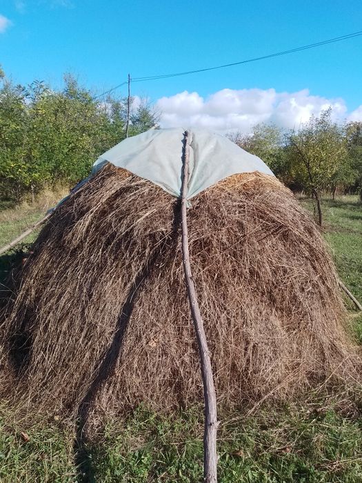 Fân  de bună calitate de vanzare