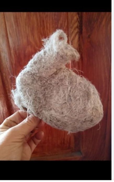 Таза куркултай уясы