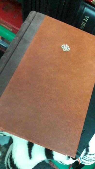 Conspiratorii-Jules Verne-1930 in fascicole,LEGATURA LUX