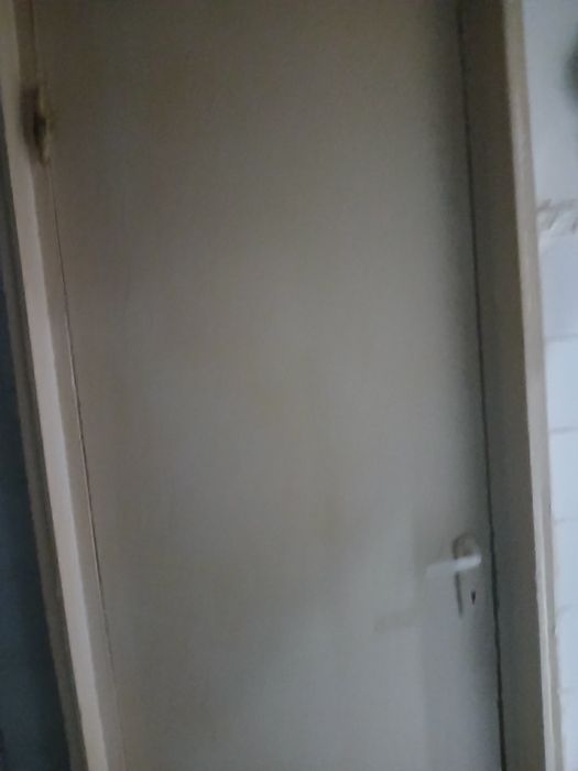 Vând 2 uși trebuie doar vopsite și schimbat maneru