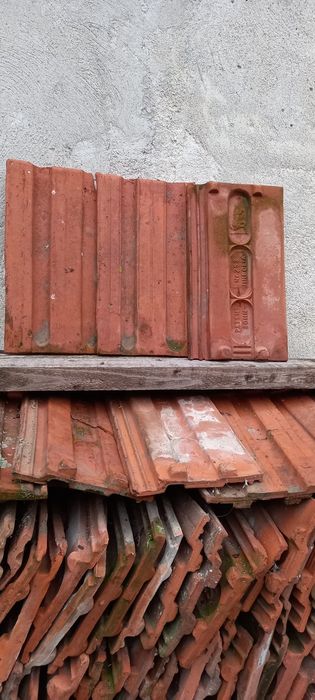 Acoperișuri țiglă bună leu Jimbolia