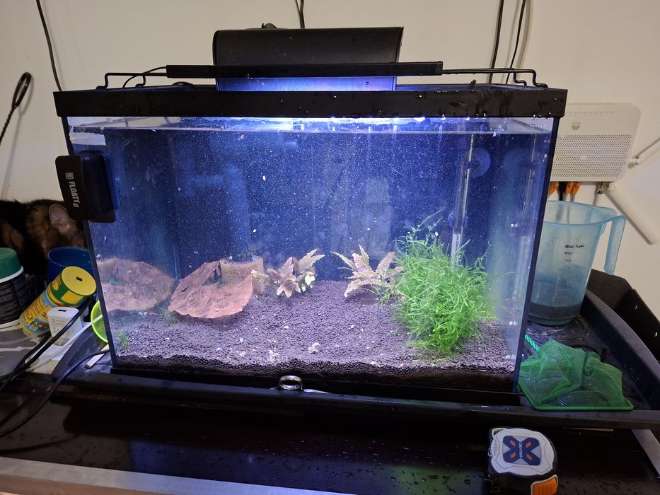 Vand acvariu si accesorii