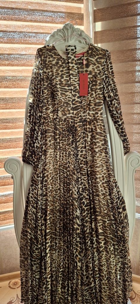 Nafis ayollar koylagi