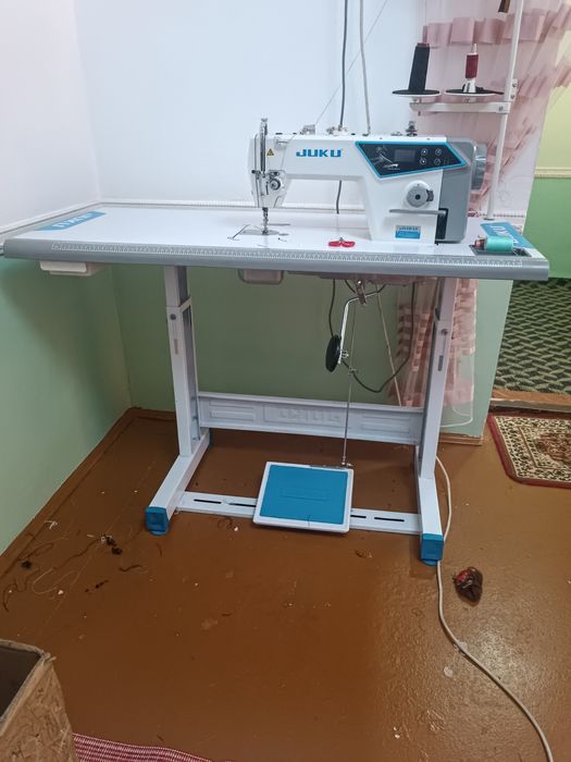 1годоаоаоаоалалла