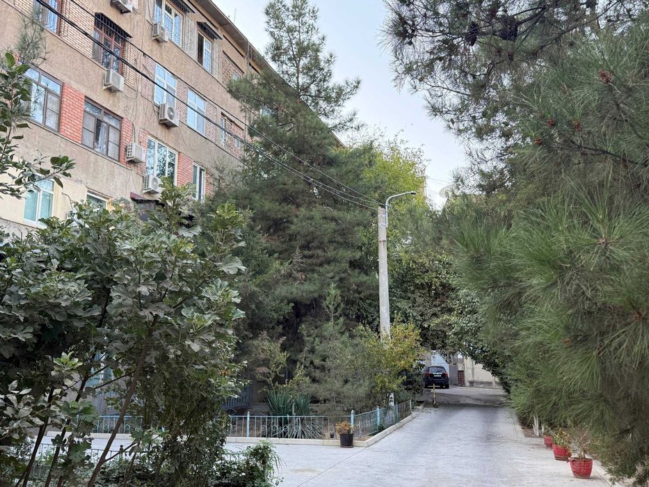 Продаётся 2/2/5 На: Ц-1 Ул. Истикбол  Ор-р: “B&B Coffe House 70м2