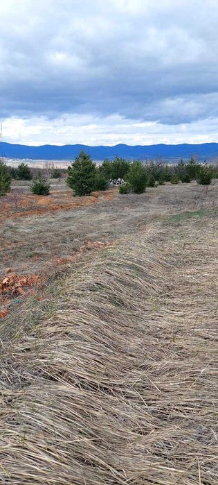 Апартамент в голф клуб "Ибър" с гледка към планина Рила