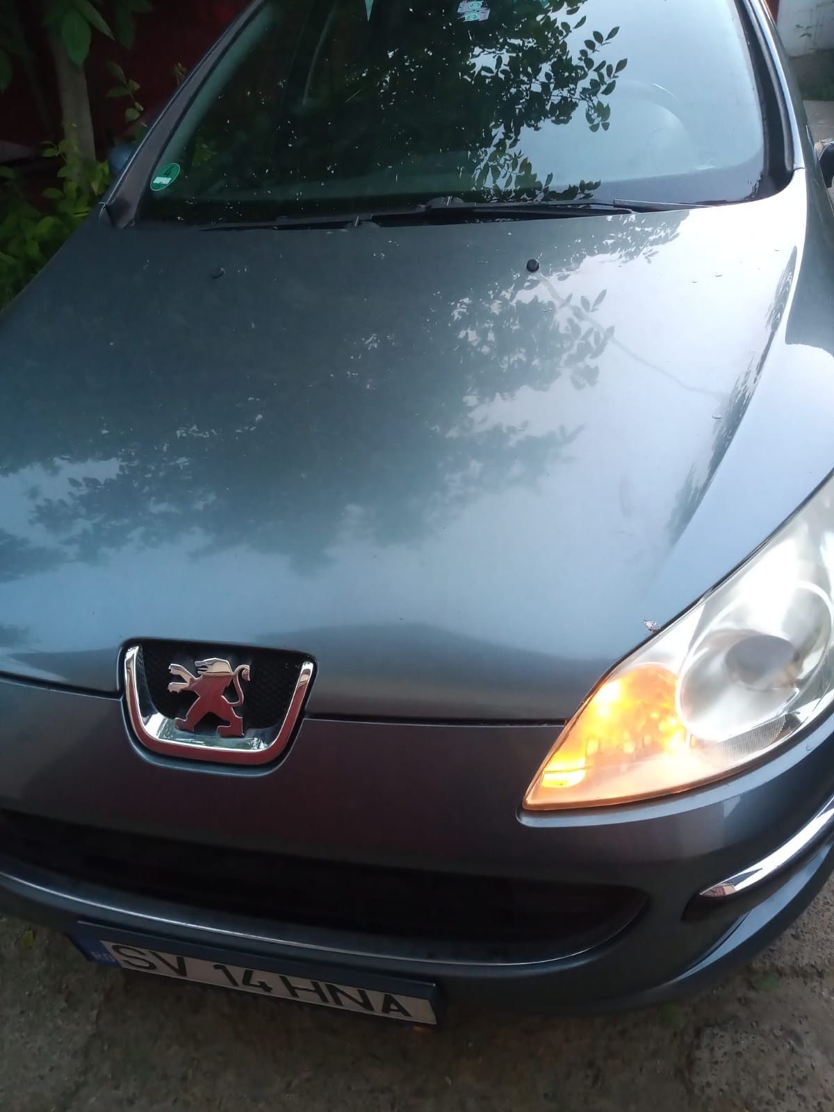 Peugeot 407 SW , 2004