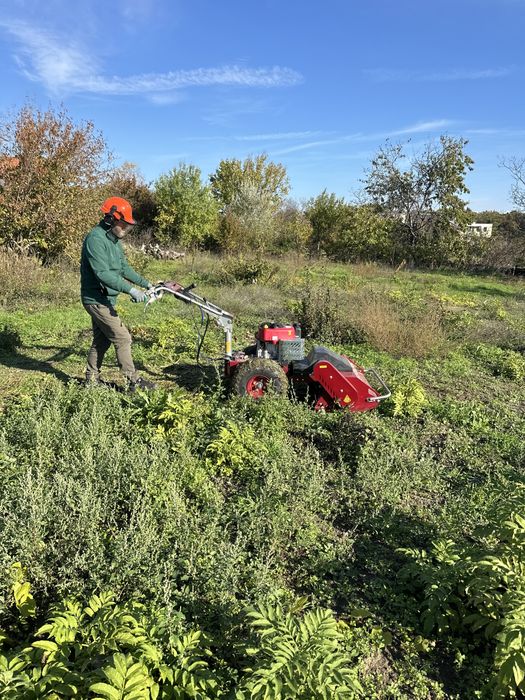 Рязане на дървета, санитарна сеч, дробене на клони, извозване
