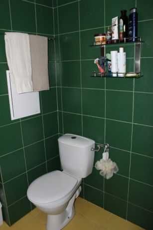 Двустаен имот в Дървеница