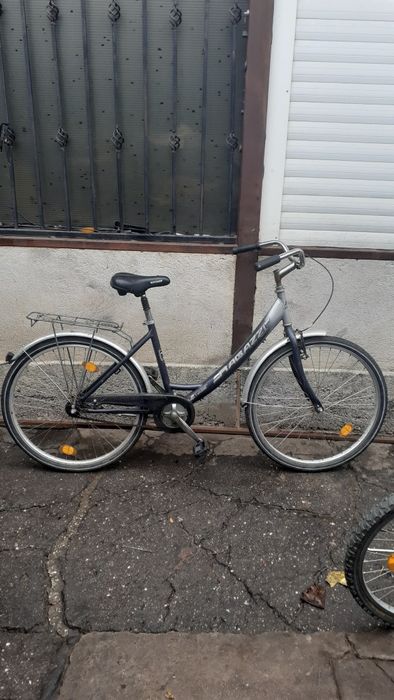 Bicicleta de dama