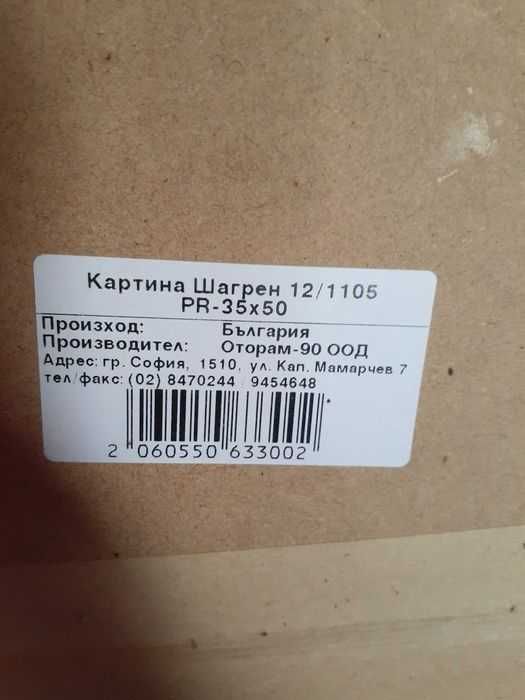 Картина шагрен, градски пейзаж