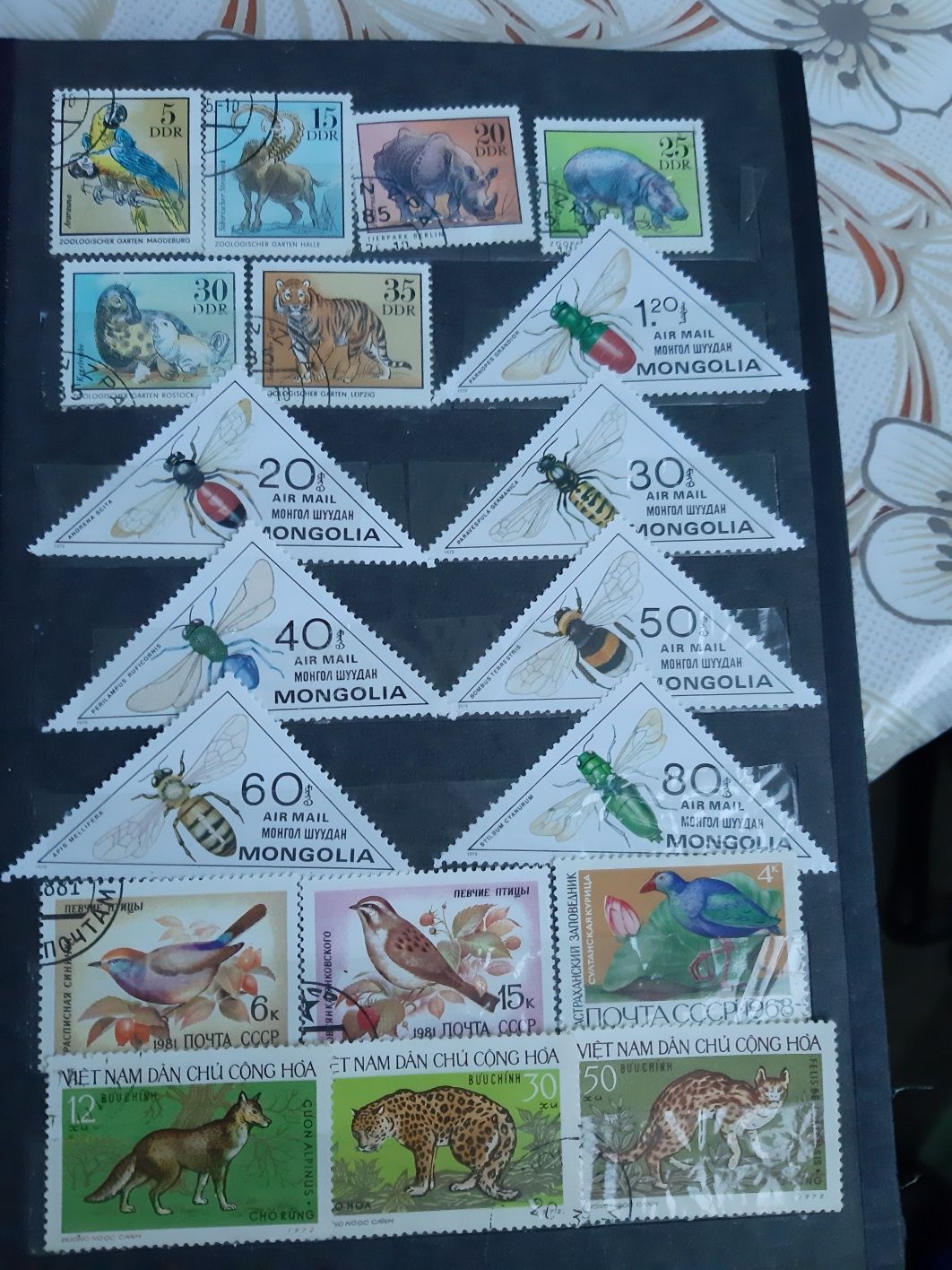 Класьор с марки от различни страни