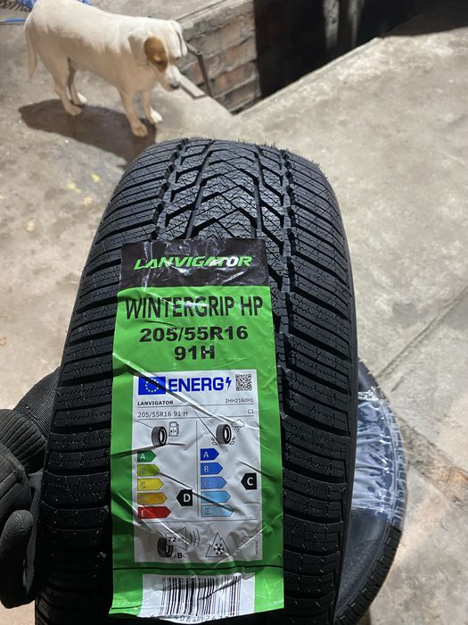 205 55 16 iarna