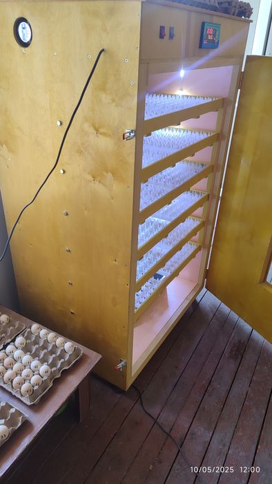 Inkubator sotiladi narxi 5.500 ming 1056 dona tovuq tuxumi sigʻadi