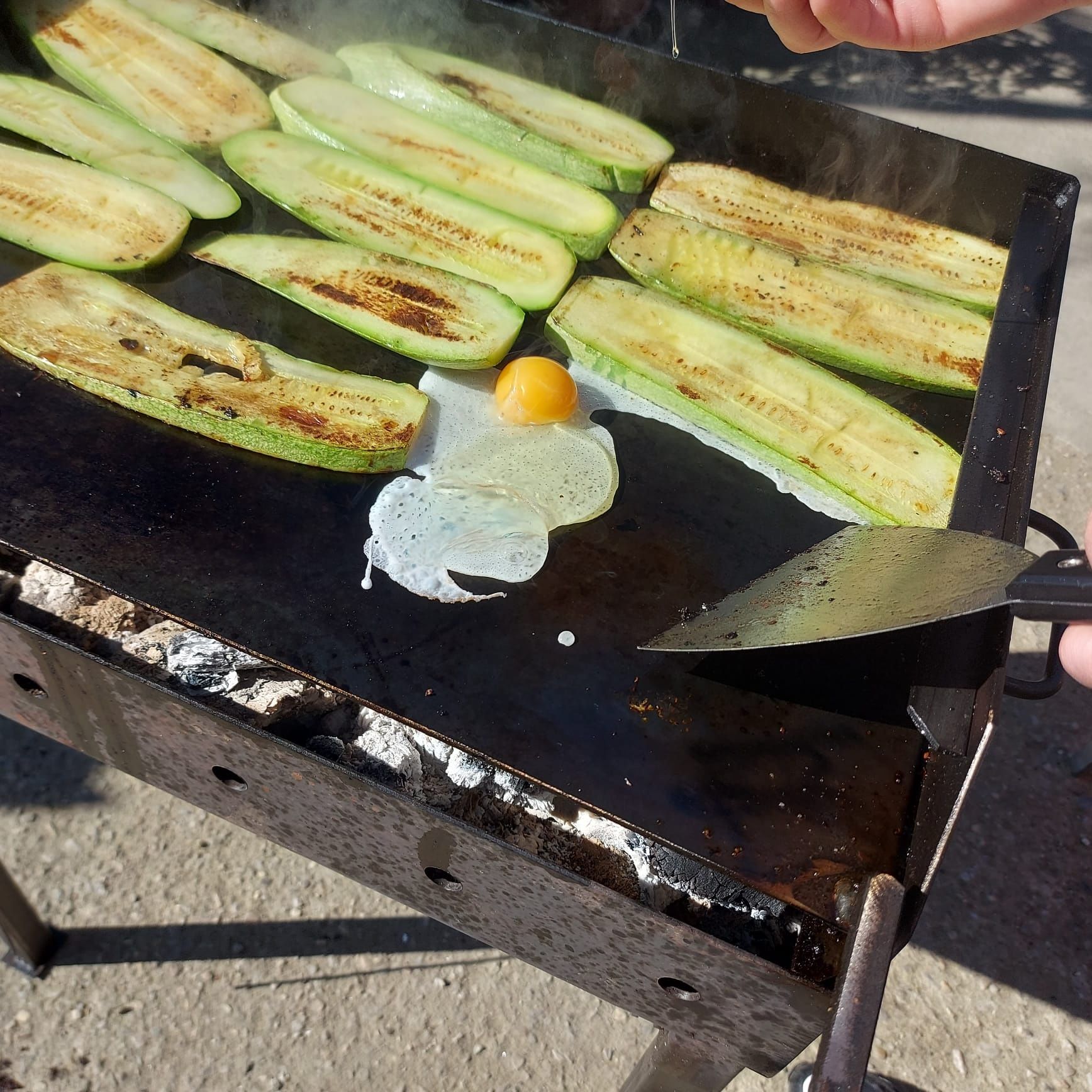 Plita pentru fripturi de peste, legume, carne!!