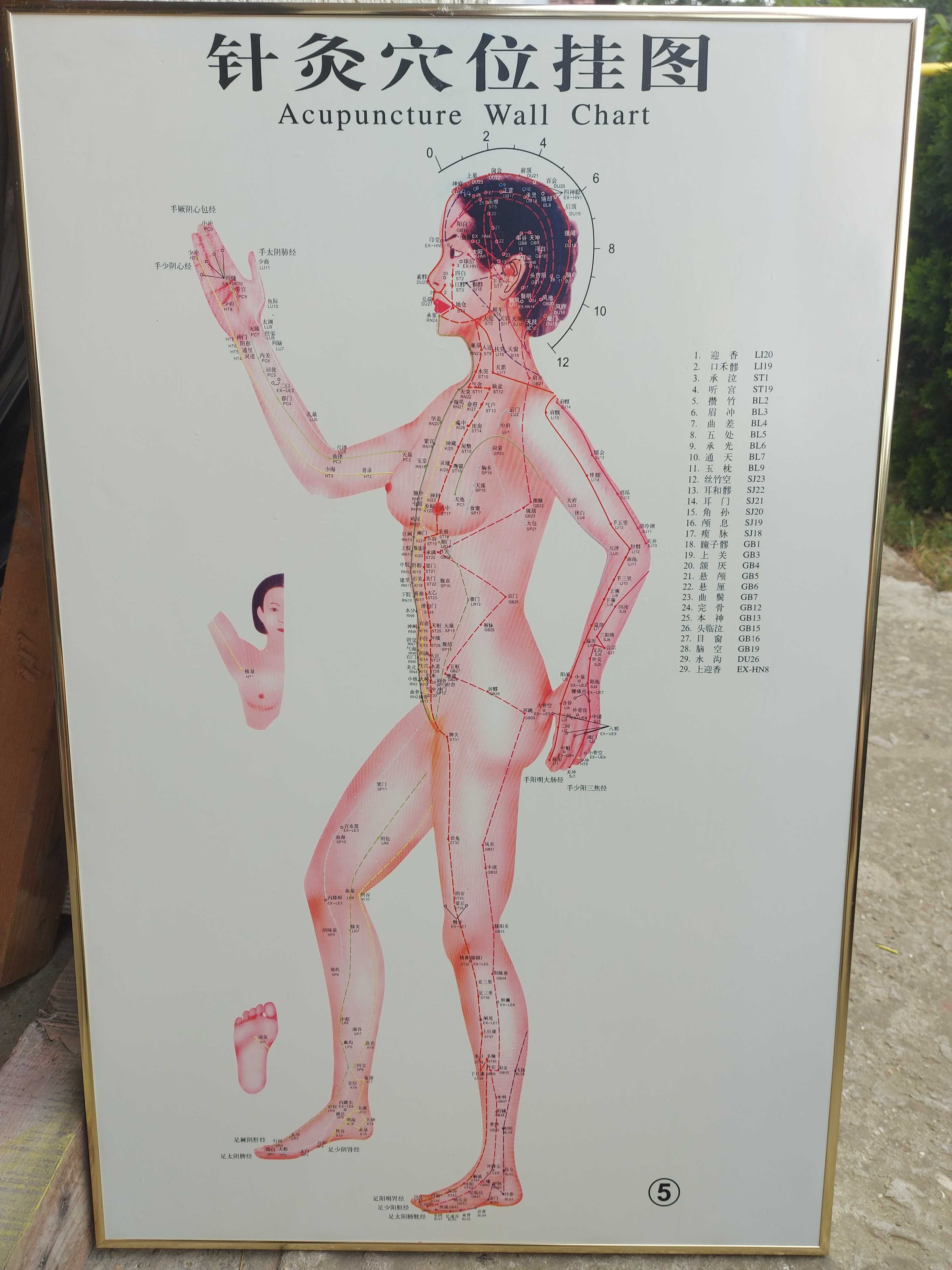 Tablouri harta acupunctura