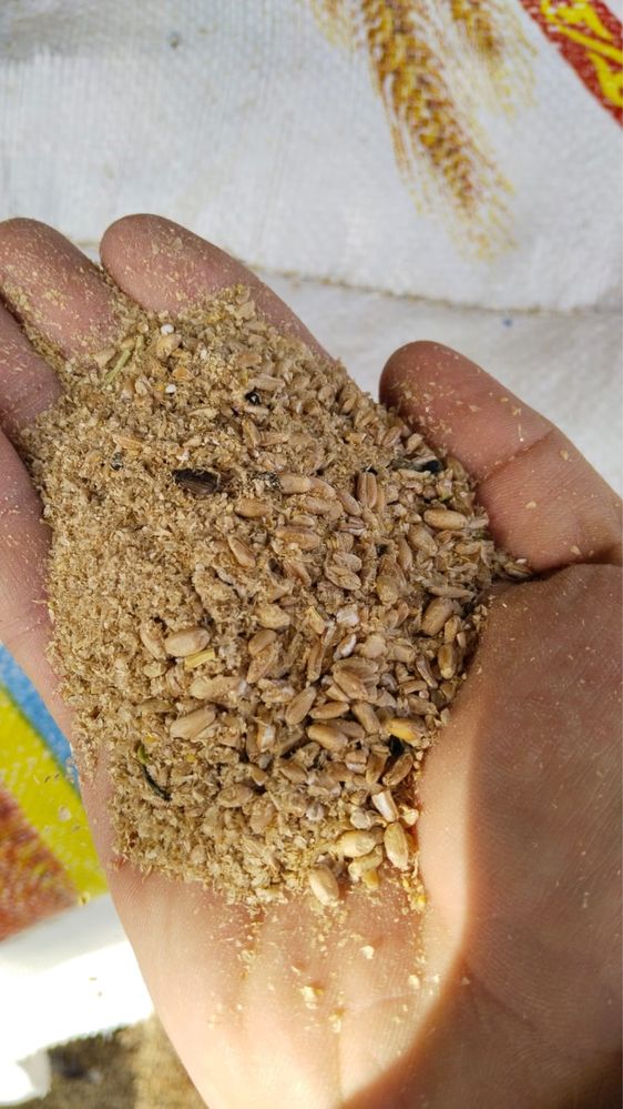 Зерноотходы ,дробленная пшеница