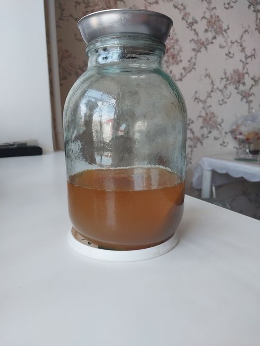 Чайный гриб детку за 300