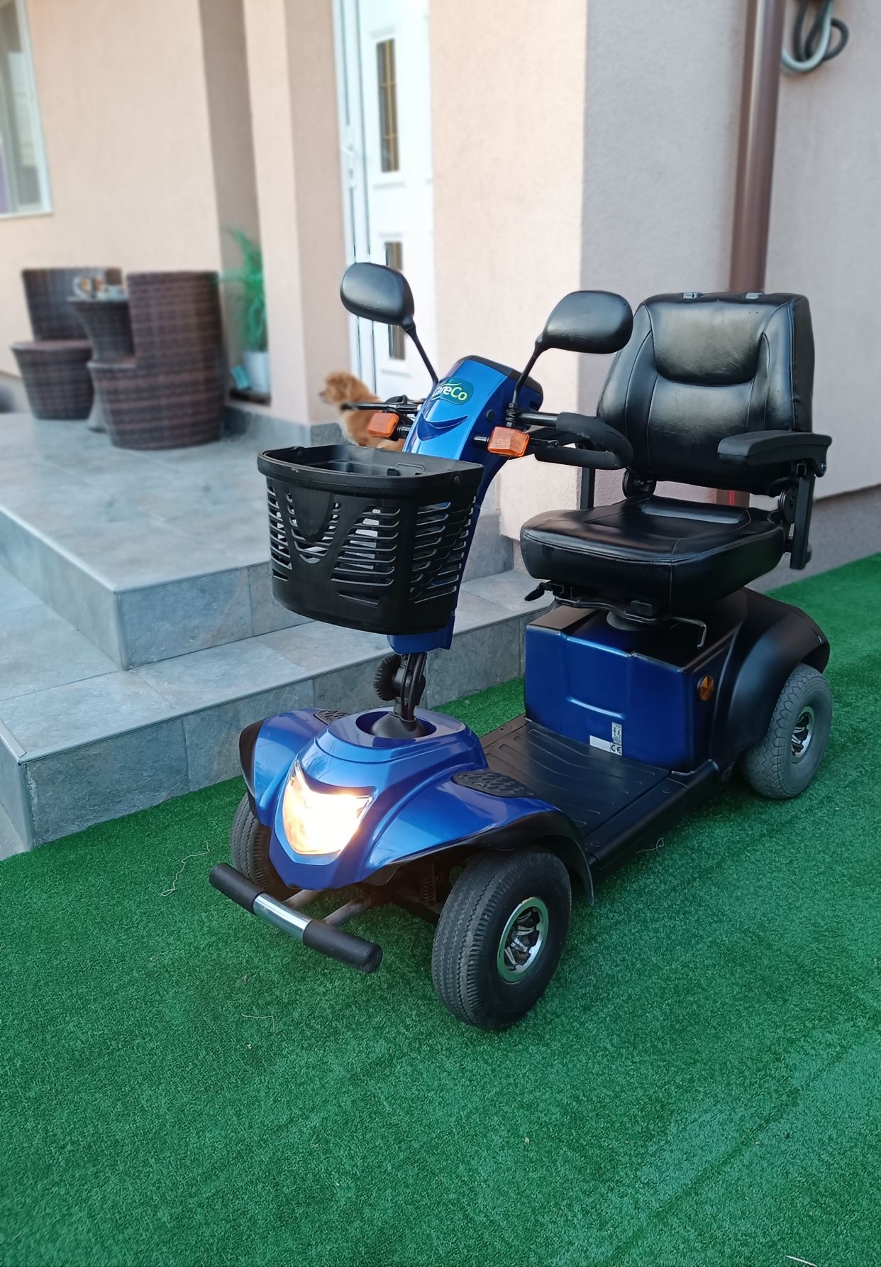 Scuter Dizabilitati dezabilitati handicap căruț carucior electric vars