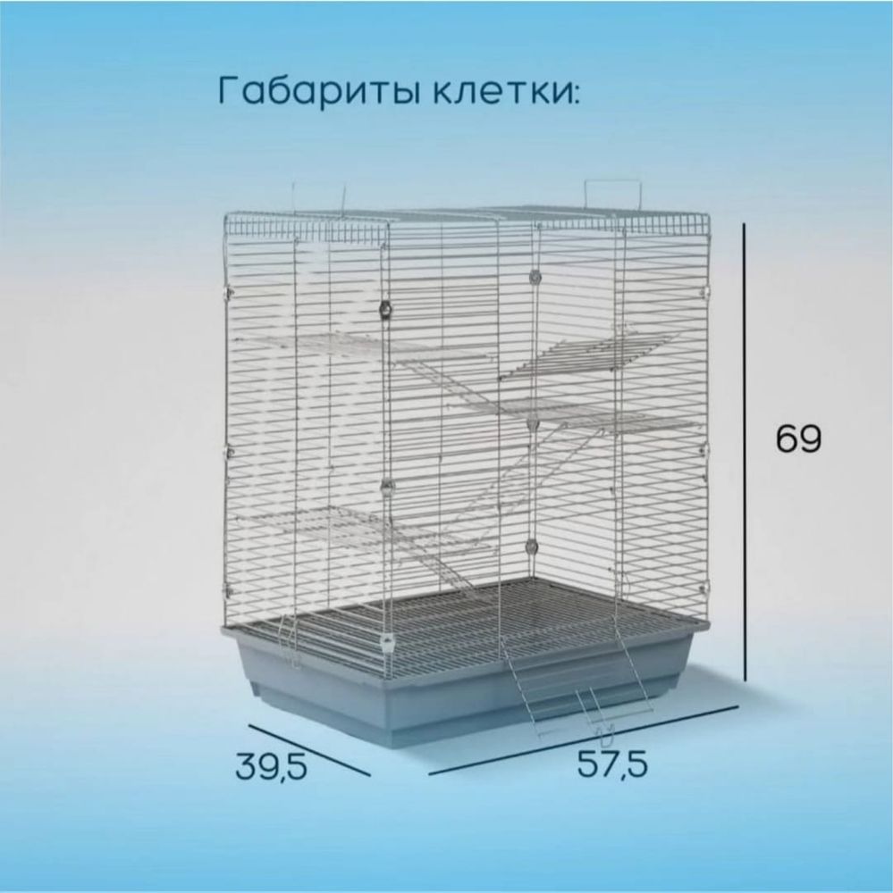 Крупная клетка + крысы В ПОДАРОК