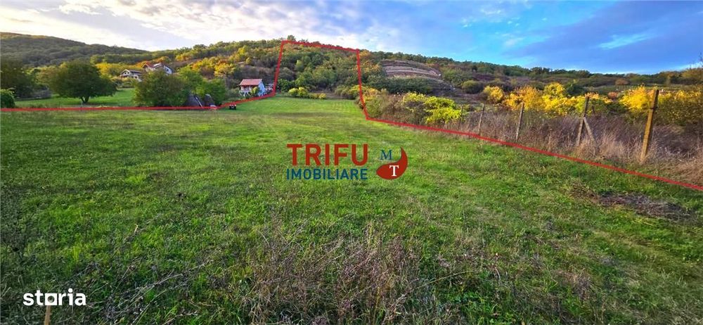Teren de vanzare Valea Popi