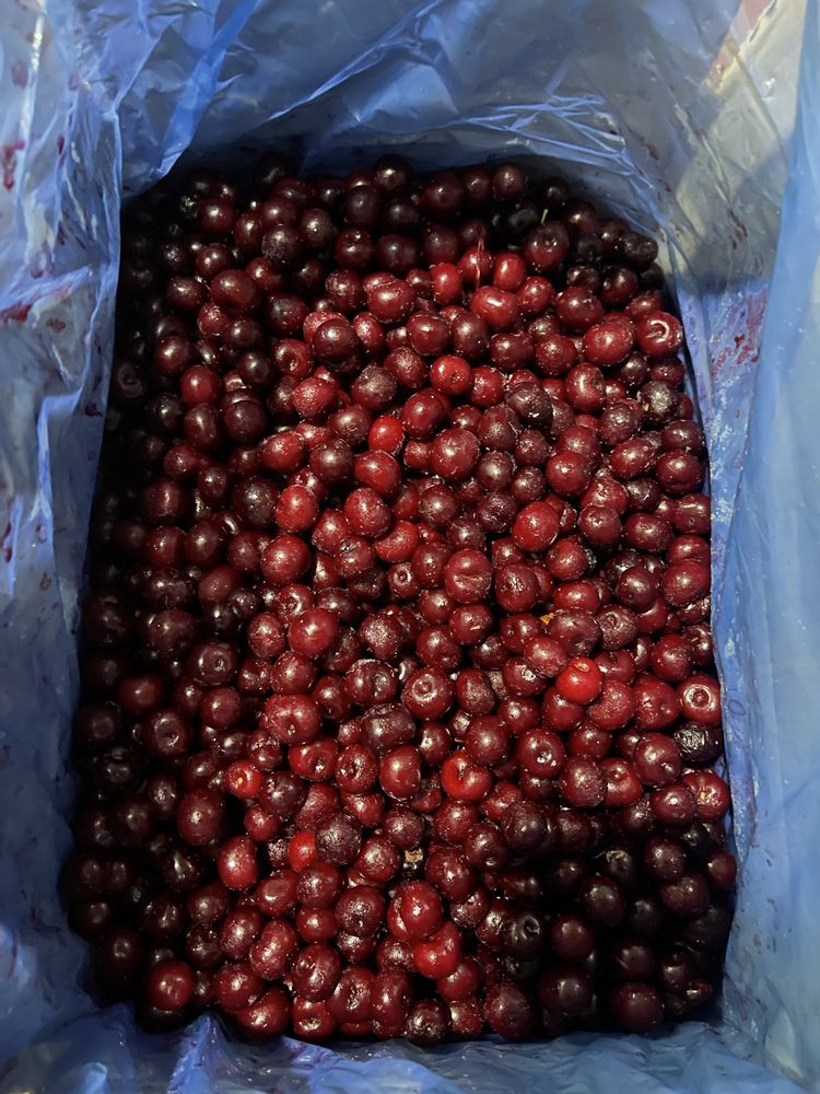 Замороженная вишня