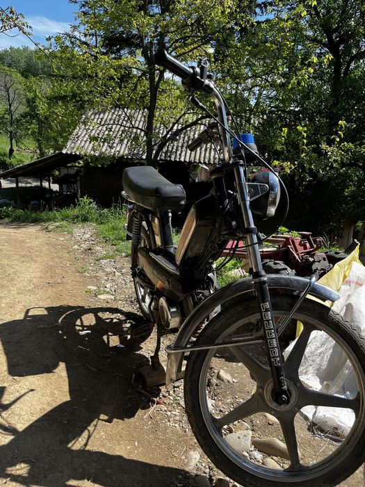 Vand moped peugeot