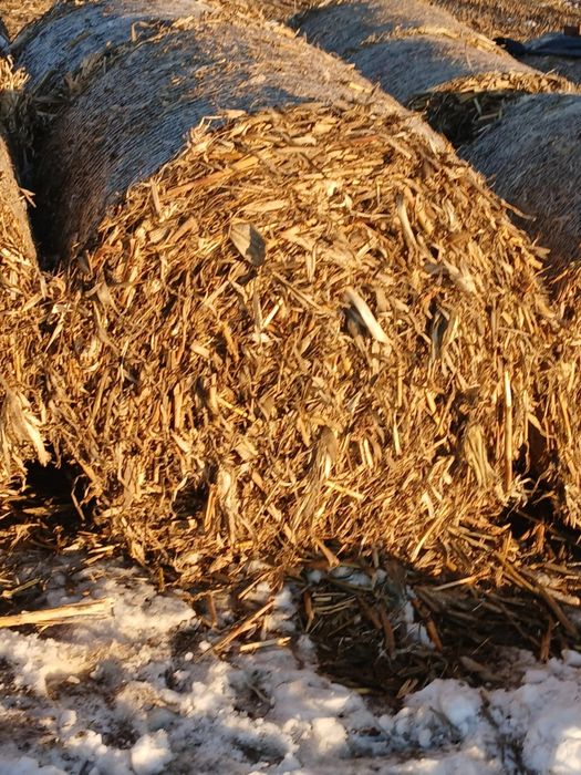 Baloti de coceni (ciocani)