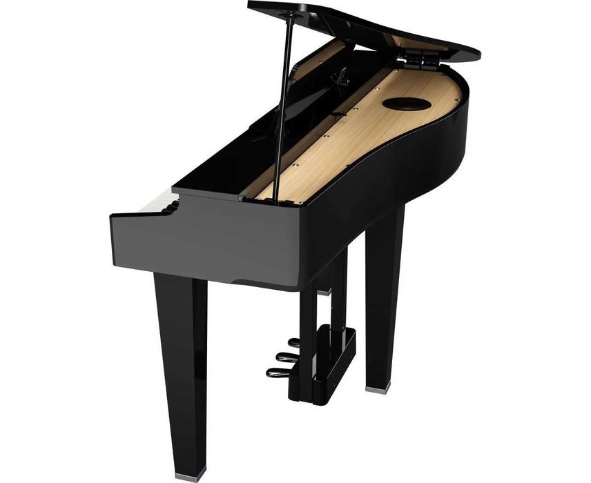 ROLAND GP-3-PE Цифровой Рояль