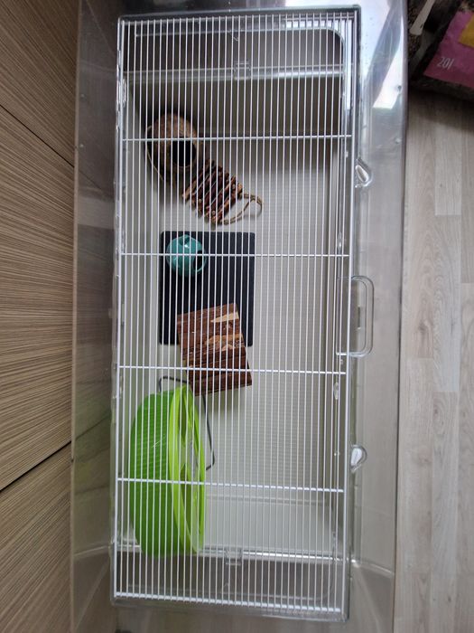 Cusca hamster/ porcusor de guineea/ cusca animalute