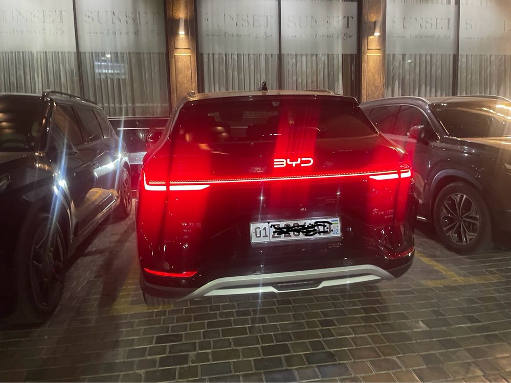 BYD Chempion Smart 2025.   еил янни мошина