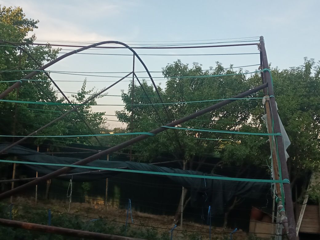 Parnik sotiladi Kogon Tumani
