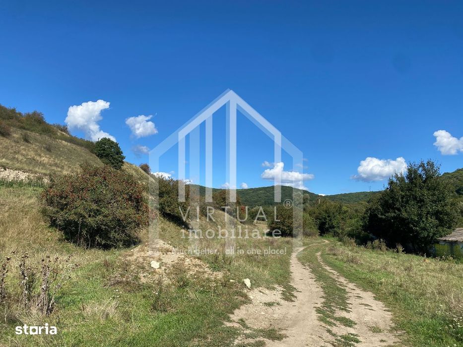 Teren extravilan de vanzare in Sibiu, 40,000 sau 80,000 mp