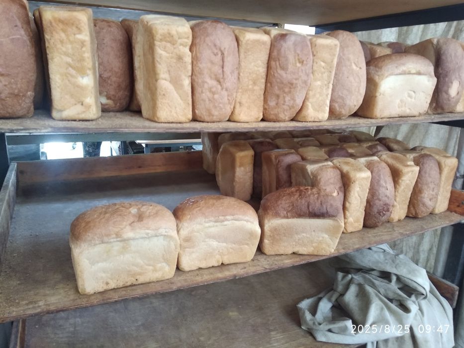 Котган нон сотилади.