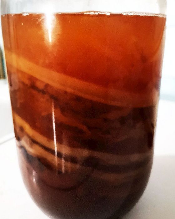 Vand Ciuperca Kombucha (Scoby), starter si reteta