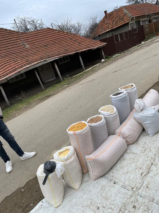 Vând cereale, super calitate