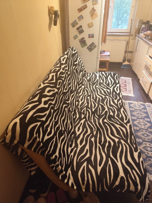 Canapea extensibilă din Metal foarte întreținută curată 2 Metri