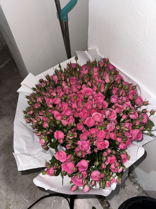 4 түрлі гүлдер, бағасы келісіммен