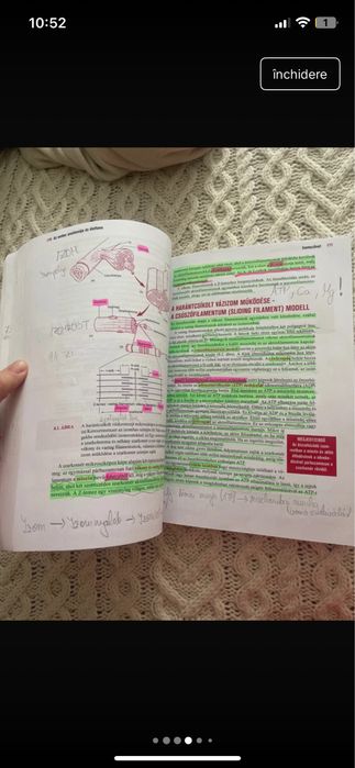 Az ember anatomiaja es elettana