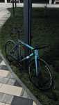 fixed gear  wnr.