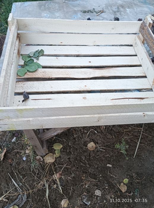 Яшик ва узум олма анор учун флекалар сотилади