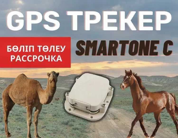 Жылқыға ЖПС /GPS для Лошадей/Настройка+Ошейник Доставка в Атырау.